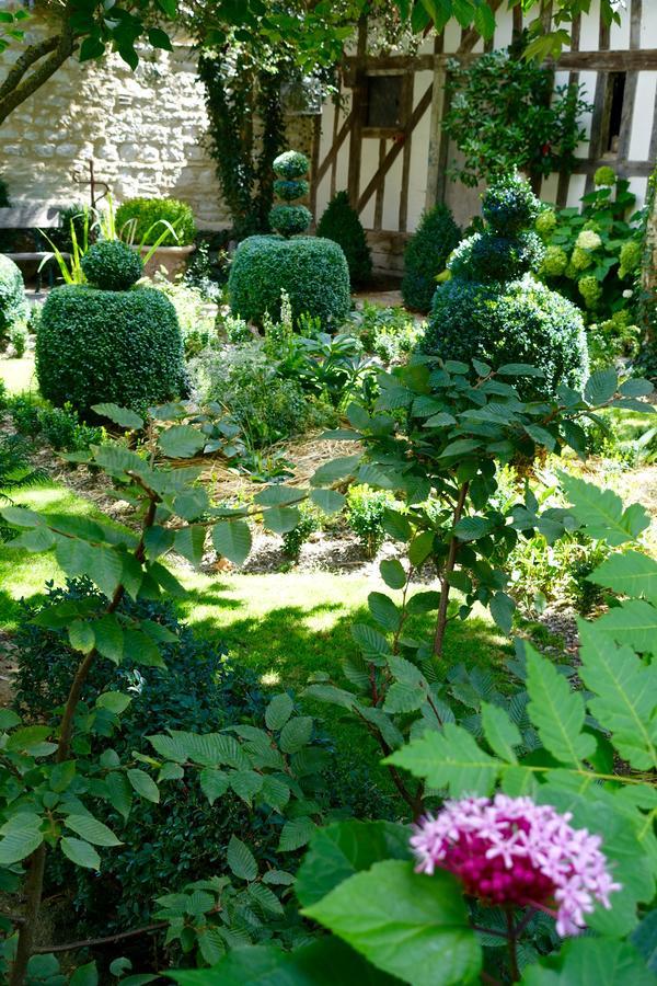 Le Jardin De La Cathedrale Bed & Breakfast Троа Екстериор снимка